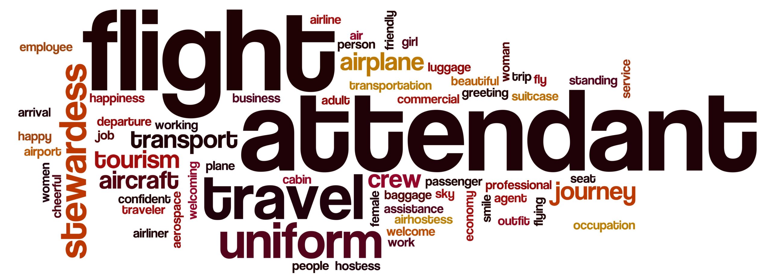 flight attendant course